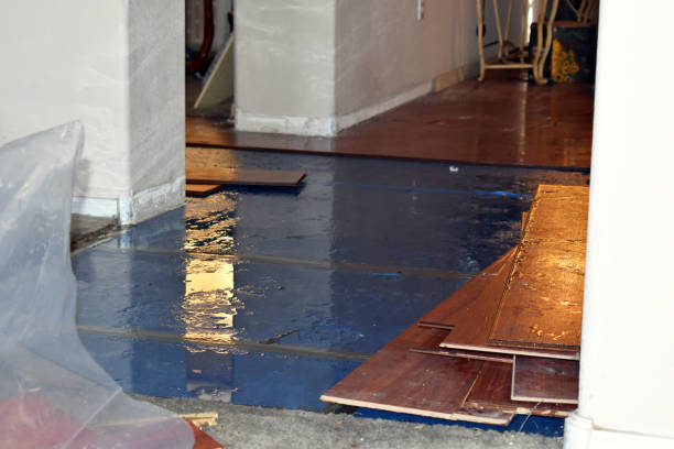 Professional Basement Flooding technician working in Worley, ID